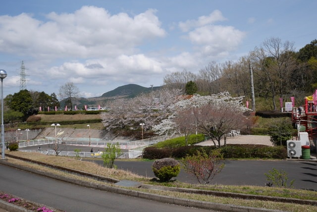 P1230300.JPG - 2016日本鹿兒島行