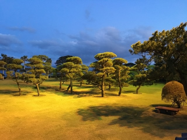 照片 1469.jpg - 2016日本鹿兒島行