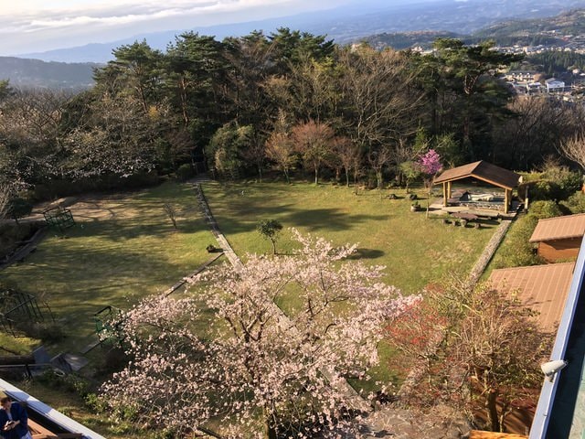 照片 2058.jpg - 2016日本鹿兒島行