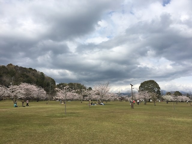 照片 1708.jpg - 2016日本鹿兒島行