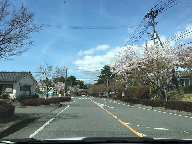 照片 1892.jpg - 2016日本鹿兒島行