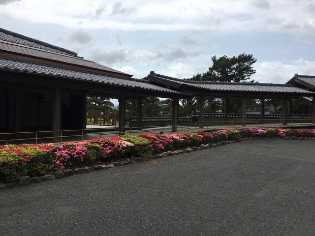 照片 1327.jpg - 2016日本鹿兒島行