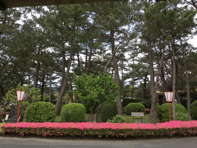 照片 1333.jpg - 2016日本鹿兒島行