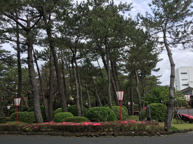 照片 1317.jpg - 2016日本鹿兒島行