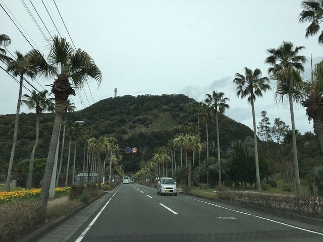 照片 1167.jpg - 2016日本鹿兒島行