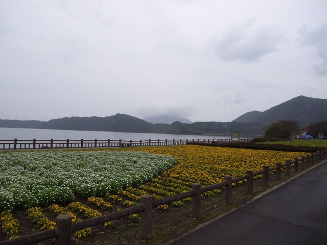 R0030672.JPG - 2016日本鹿兒島行