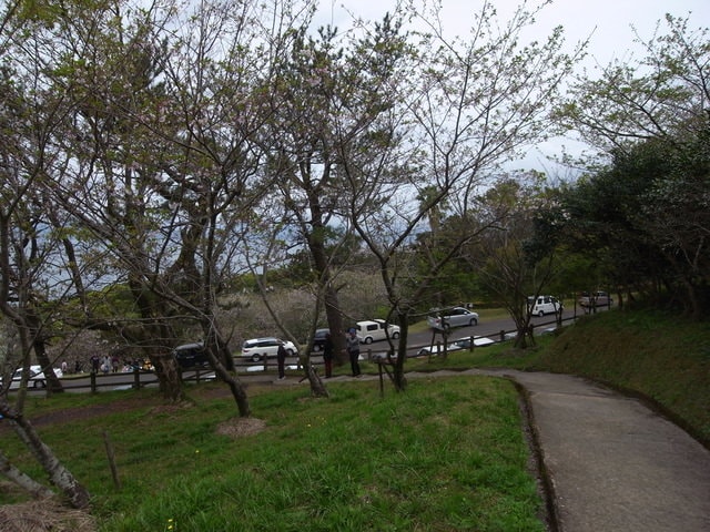 R0030634.JPG - 2016日本鹿兒島行