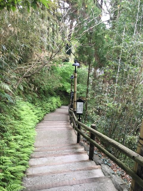 照片 998.jpg - 2016日本鹿兒島行