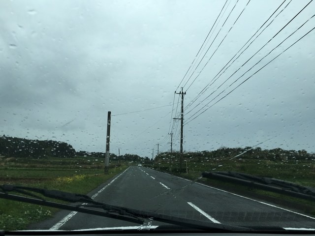 照片 972.jpg - 2016日本鹿兒島行