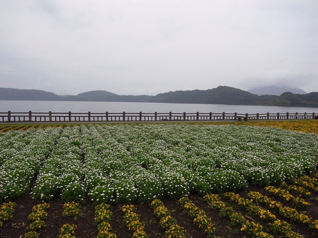 R0030674.JPG - 2016日本鹿兒島行
