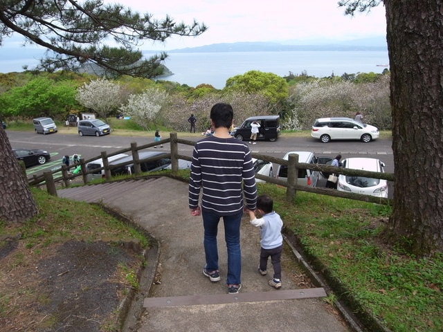 R0030663.JPG - 2016日本鹿兒島行