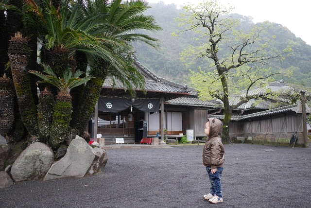 P1240048.JPG - 2016日本鹿兒島行