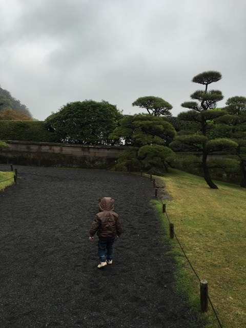 照片 828.jpg - 2016日本鹿兒島行