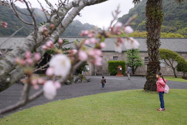 P1240158.JPG - 2016日本鹿兒島行