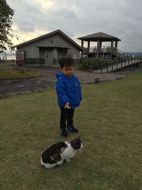 照片 597.jpg - 2016日本鹿兒島行