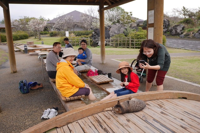P1240344.JPG - 2016日本鹿兒島行