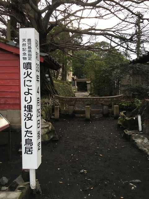 照片 569.jpg - 2016日本鹿兒島行