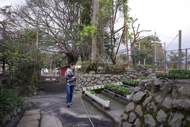 P1240364.JPG - 2016日本鹿兒島行