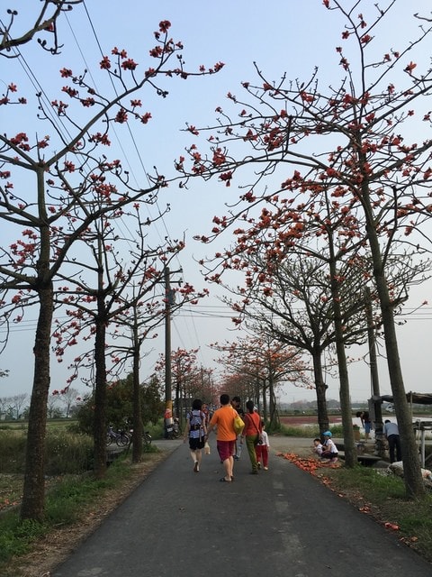 照片 399.jpg - 2016日本鹿兒島行