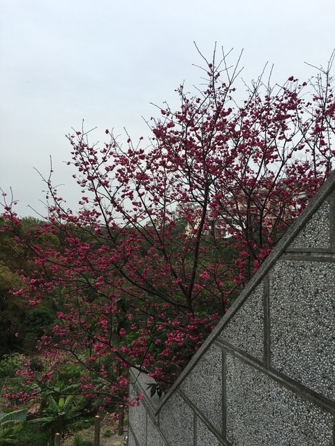 照片 2642.jpg - 2016.1~