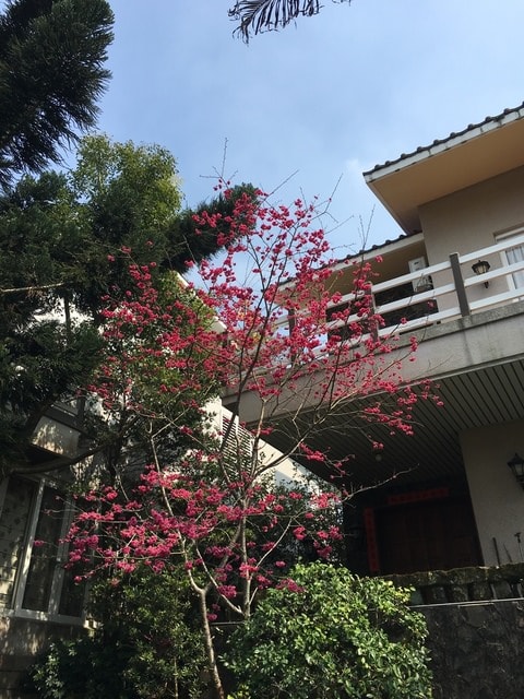 照片 2598.jpg - 2016.1~