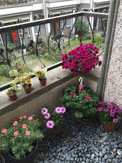 照片 2646.jpg - 2016.1~