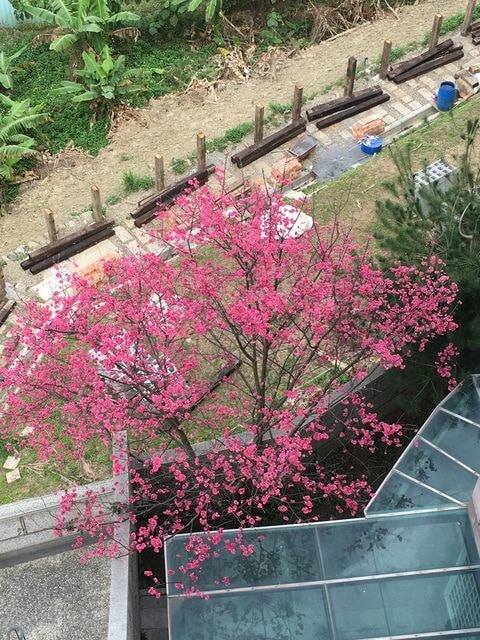 照片 2630.jpg - 2016.1~