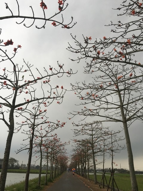 照片 220.jpg - 2016.1~