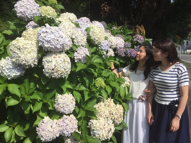 IMG_0847.jpg - 2016關西公務旅遊行（2016.6.30-7.3）