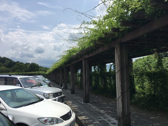 IMG_1702 (2).jpg - 2016日本公務旅遊行（2016.7.24-8.2）