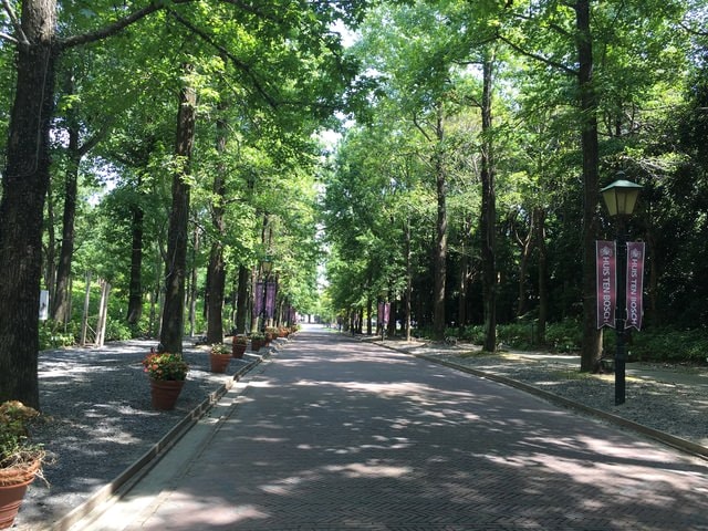 IMG_2266.jpg - 2016日本公務旅遊行（2016.7.24-8.2）