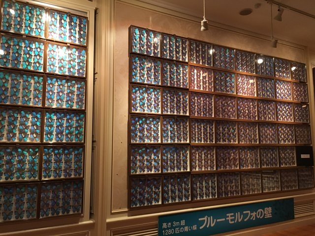 IMG_2293.jpg - 2016日本公務旅遊行（2016.7.24-8.2）