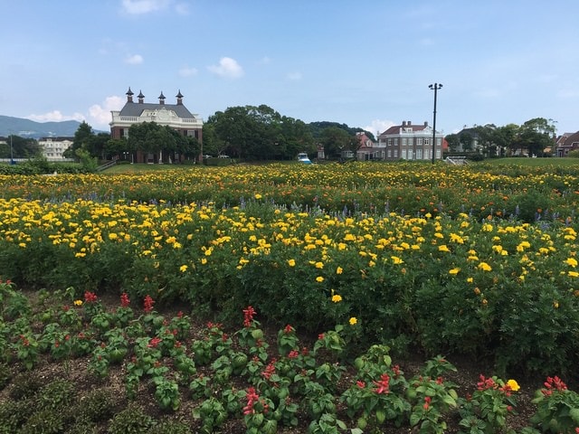 IMG_2427.jpg - 2016日本公務旅遊行（2016.7.24-8.2）