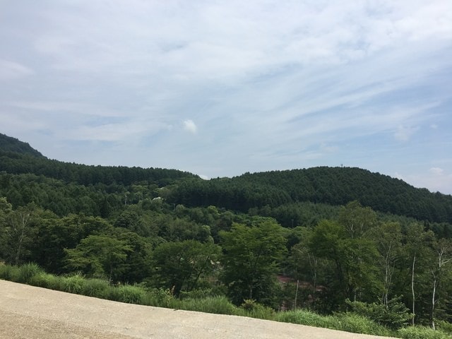 IMG_2934.jpg - 2016日本公務旅遊行（2016.7.24-8.2）
