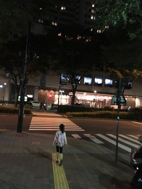 IMG_3189.jpg - 2016日本公務旅遊行（2016.7.24-8.2）