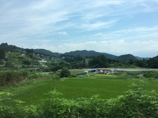 IMG_2983.jpg - 2016日本公務旅遊行（2016.7.24-8.2）