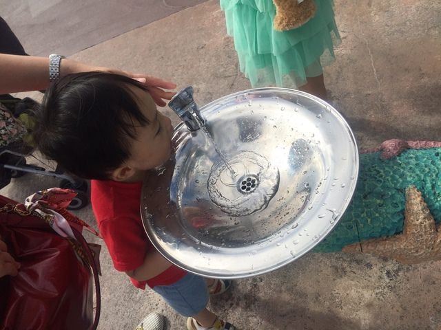 IMG_4446.jpg - 2016日本公務旅遊行（2016.7.24-8.2）