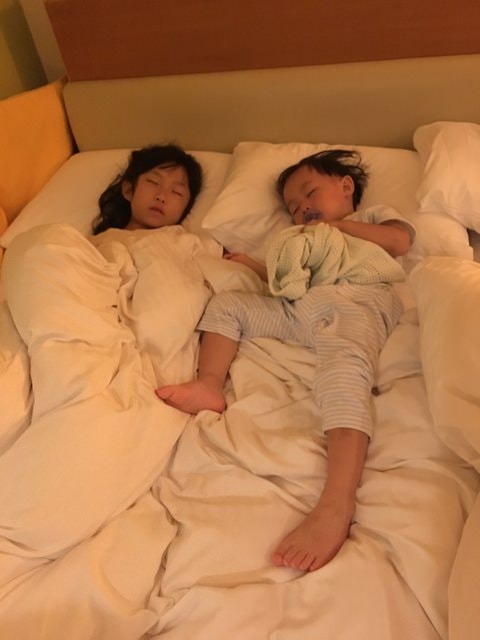 IMG_4309 (2).jpg - 2016日本公務旅遊行（2016.7.24-8.2）