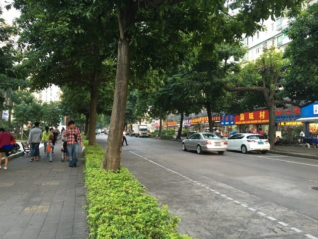 IMG_5911 (2).jpg - 2016澳門珠海行（2016.11.2-6）