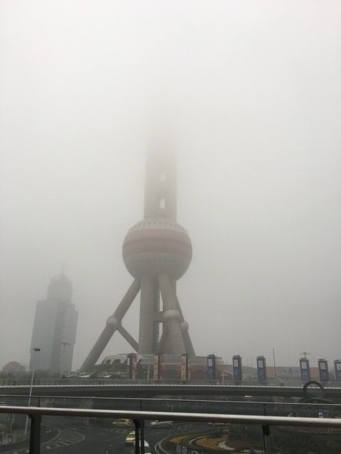 IMG_8053.jpg - 2017初上海行（2017.2.16-19）