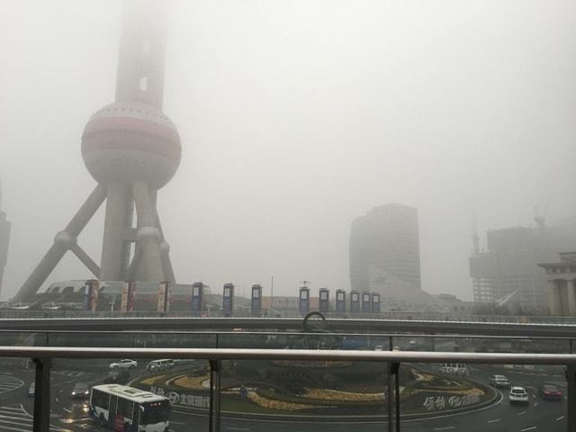IMG_8050 (2).jpg - 2017初上海行（2017.2.16-19）