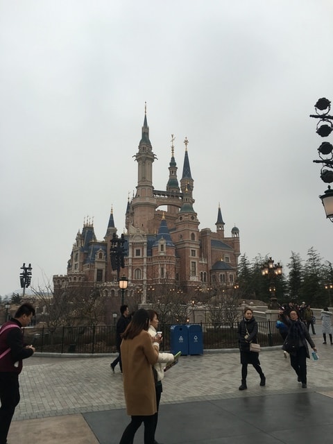 IMG_8078.jpg - 2017初上海行（2017.2.16-19）