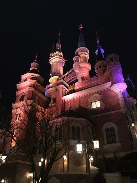 IMG_8322.jpg - 2017初上海行（2017.2.16-19）