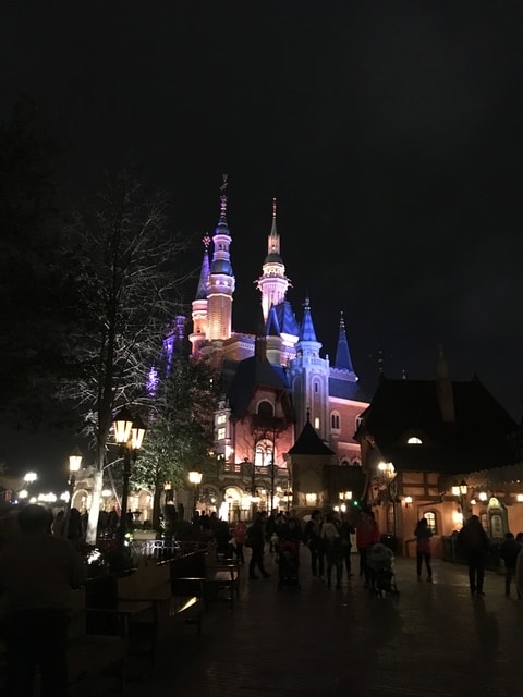 IMG_8325.jpg - 2017初上海行（2017.2.16-19）