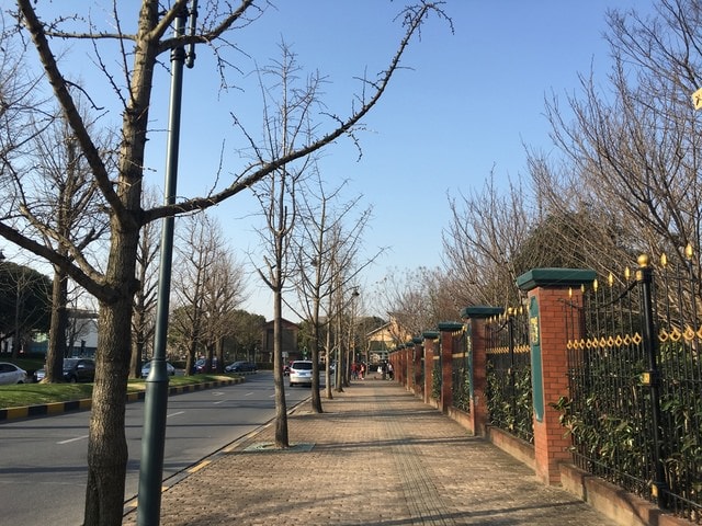 IMG_8509.jpg - 2017初上海行（2017.2.16-19）