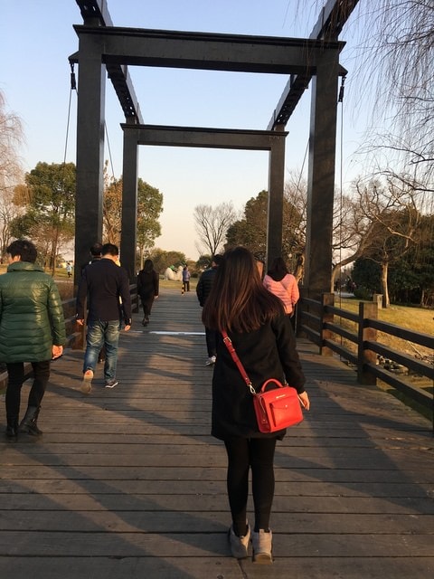 IMG_8624.jpg - 2017初上海行（2017.2.16-19）