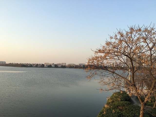 IMG_8633.jpg - 2017初上海行（2017.2.16-19）