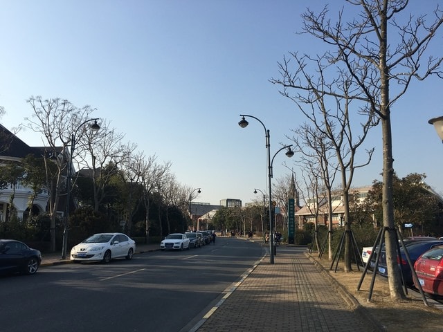 IMG_8512.jpg - 2017初上海行（2017.2.16-19）