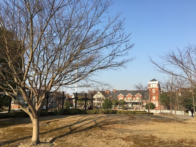 IMG_8513.jpg - 2017初上海行（2017.2.16-19）
