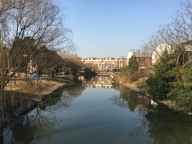 IMG_8511.jpg - 2017初上海行（2017.2.16-19）